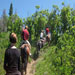 Elk River Guest Ranch - Horseback Riding - We offer horseback riding to all of our guests and the general public. 1-2 hour rides, pony rides for kids, private rides, & combo horseback riding/rafting down the Elk River.