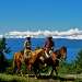 Dude Rancher's Association: Guest Ranch Lodging - All-inclusive vacations perfect for everyone, from the littlest buckaroo to Grandpa and Grandma. Offering the very best dude ranches in the west!