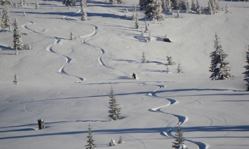 Steamboat Springs Colorado Backcountry Skiing