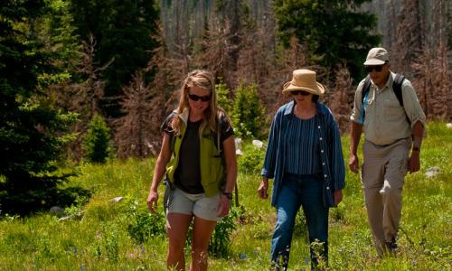 Steamboat Springs Colorado Hiking