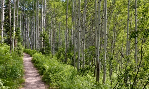 Steamboat Springs Hiking Trails