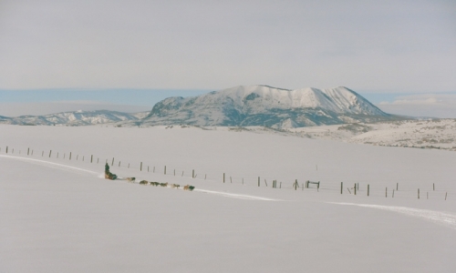 Steamboat Springs Colorado Dog Sledding