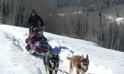 Steamboat Springs Dog Sledding
