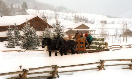 Steamboat Springs Sleigh Rides