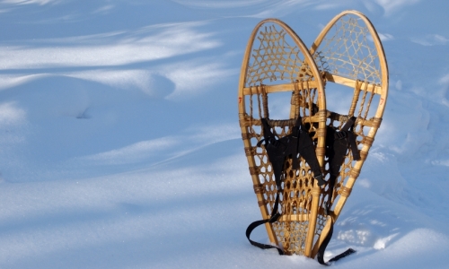 Steamboat Springs Snowshoeing