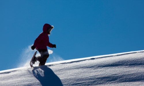 Steamboat Springs Colorado Snowshoeing
