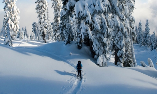 Steamboat Springs Colorado Snowshoe