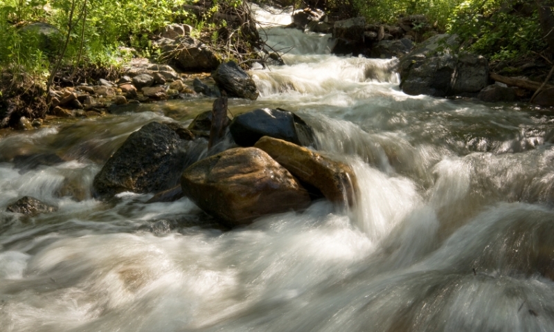 Rushing Stream in Routt National Forest