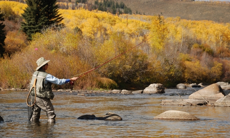 Fly Fishing the Blue River