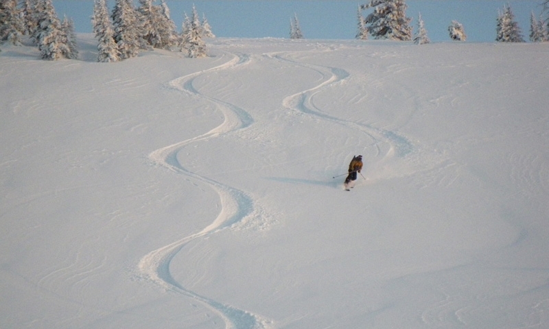 Steamboat Springs Colorado Telemark Skiing