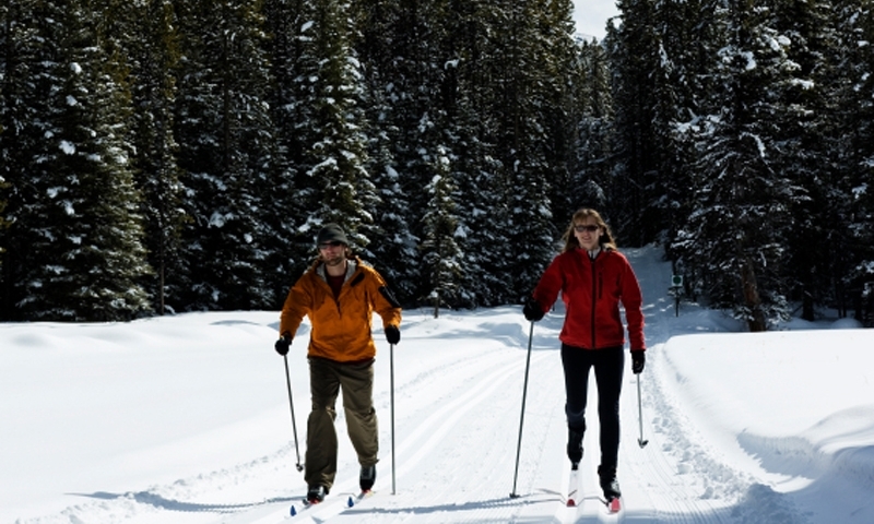 Cross Country Skiing