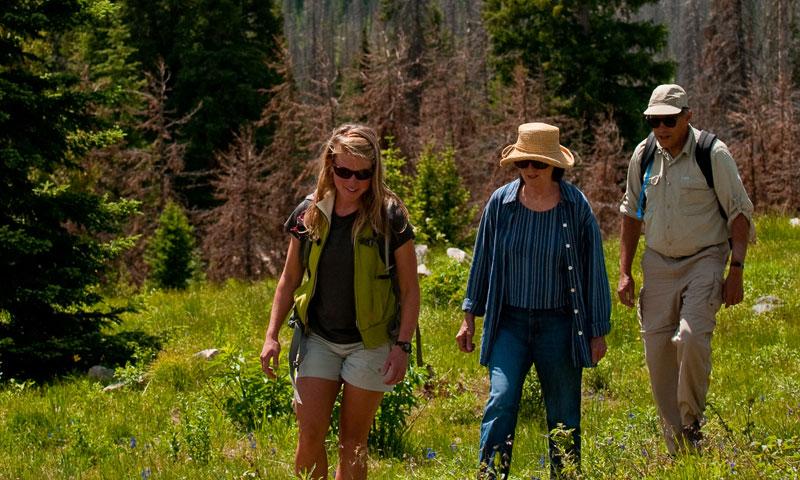 Hiking in Steamboat Springs