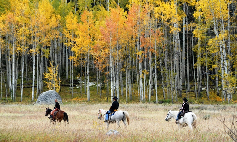 Horseback Riding at Vista Verde Ranch in Steamboat Springs