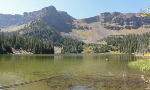 Flat Tops Wilderness