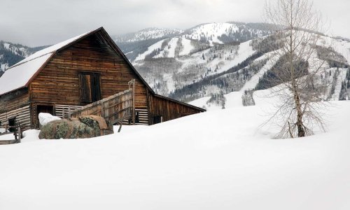 Winter Packages
