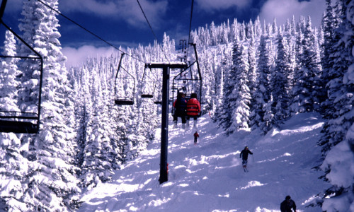 Steamboat Tree Skiing