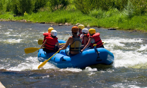 Summer Activities